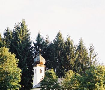 009.JPG
