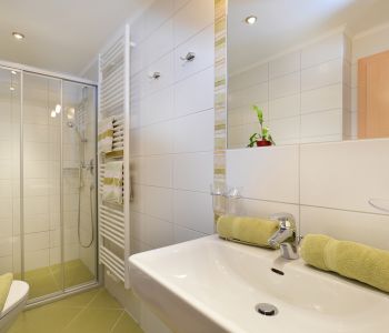 Gasthaus-Franzl-Ellmau-Kapellenweg-10-Anita-Hochfilzer-Appartement-Badezimmer1.jpg